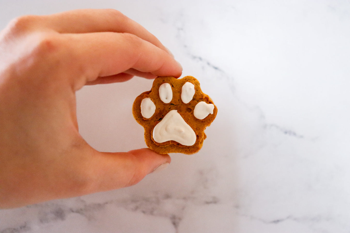 Frosted Grain-Free Pumpkin Paws